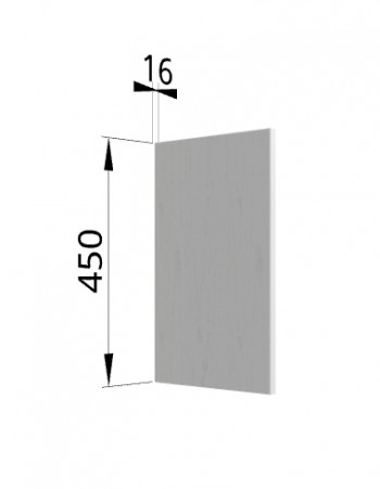 Панель торцевая (для шкафа горизонтального высокого) ВПГ Ройс (Графит софт) в Решётах - reshyoty.mebel54.com | фото